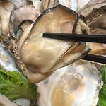 大豆 - 