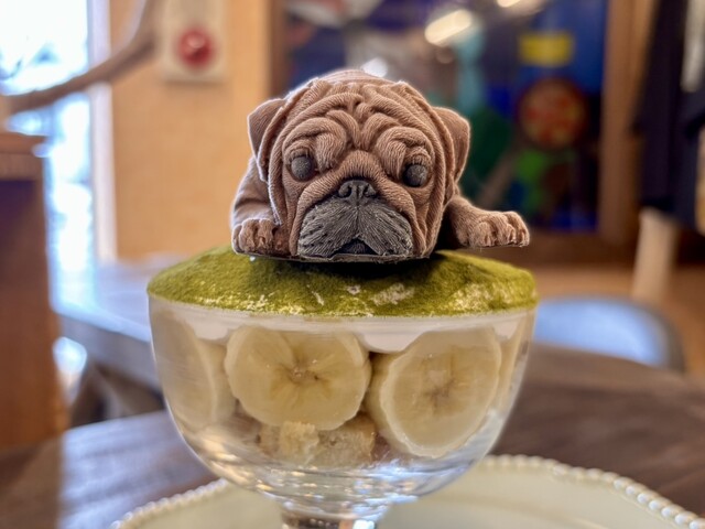 BEARS caffe &ndash; かみのやま温泉カフェ | 山形・上山の癒しスポット