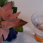 イル ブル - 2014.12.11ポインセチア