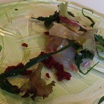 イル ブル - 2014.12.11真鯛のカルパッチョ地物赤根ほうれん草サラダビーツソース