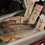 米と魚 さかなさま - 
