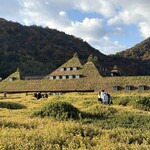 ラ・コリーナ近江八幡 フードコート - 