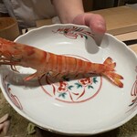 神田錦町 鮨たか晴 - 