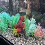 千福食堂 - 内観