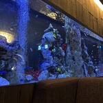 アクアリウムイタリアン心斎橋ライム - 