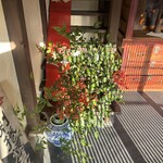 五條　源兵衛 - 