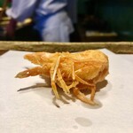 みかわ 是山居 - 