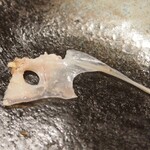 大衆酒場　ふくろ - 