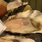 福島 牡蠣と肉たらし ビストロKAI - 