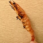 大衆酒場 力×力 - 
