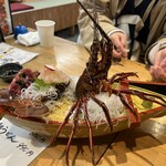 伊勢海老屋 えび勢 - 