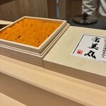 札幌 すし白 - 雲丹折