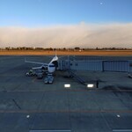 フラットホワイト コーヒー ファクトリー - 