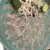 ふぐ八丁 - 料理写真: