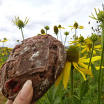 ブーランジェリー　ジン - カランズ＆チョコレート