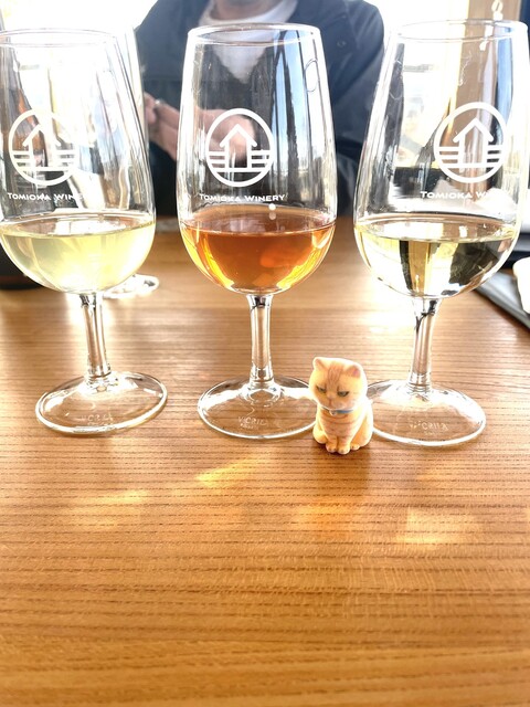 Tomioka Winery（とみおかワイナリー） - 富岡（パスタ）の写真