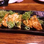 沖縄酒場ハイサイ - やんばる親鳥の揚げ餃子