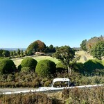 筑波学園ゴルフ倶楽部 - カツを食べる前の景色✨✨✨青空が綺麗〜
