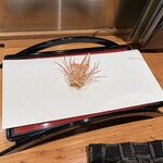 天ぷら 美やま - 