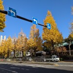 ゴーゴーカレー - 