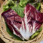 炭火焼肉・韓国料理 KollaBo - 