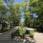 軽井沢バーガーカンパニー - 