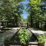 軽井沢バーガーカンパニー - 