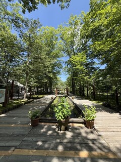 Karuizawa Burger Company