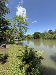 Karuizawa Burger Company