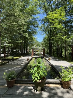 Karuizawa Burger Company