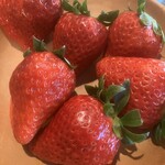 サント・アン - 