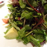 ジャッジョーロ銀座 - 