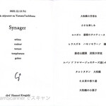 Synager - 