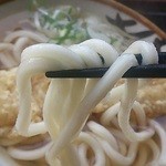 渡邉うどん - 麺アップ
