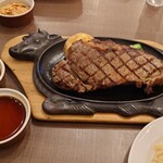 フォルクス 柏店 - 