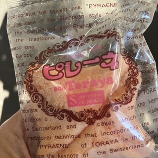 ミカワ ボントラ_1