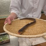 てんぷら 一心 - 