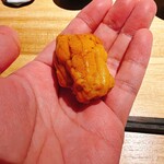 むら上 - ムラサキウニ