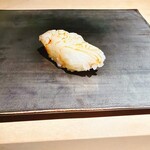 むら上 - アオリイカ