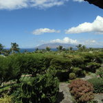 Capische - オープンエアです