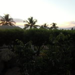 Capische - ワイレア・サンセット