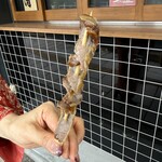 HOSHINIKU STORE ibushigin - 