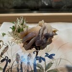 すし善 - 北寄貝