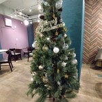 京かき氷 つみき - お店の中央に飾られたクリスマスツリー!!( ^o^)ﾉ