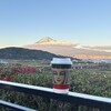 スターバックス・コーヒー 富士川サービスエリア下り線店