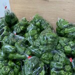 スターフルーツ札幌店 - 