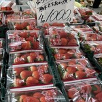 スターフルーツ札幌店 - 