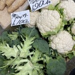 スターフルーツ札幌店 - 