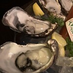 福島 牡蠣と肉たらし ビストロKAI - 
