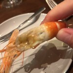 福島 牡蠣と肉たらし ビストロKAI - 